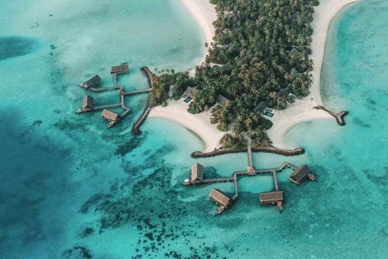 475257455_1006173471539513_2668425260084662765_n