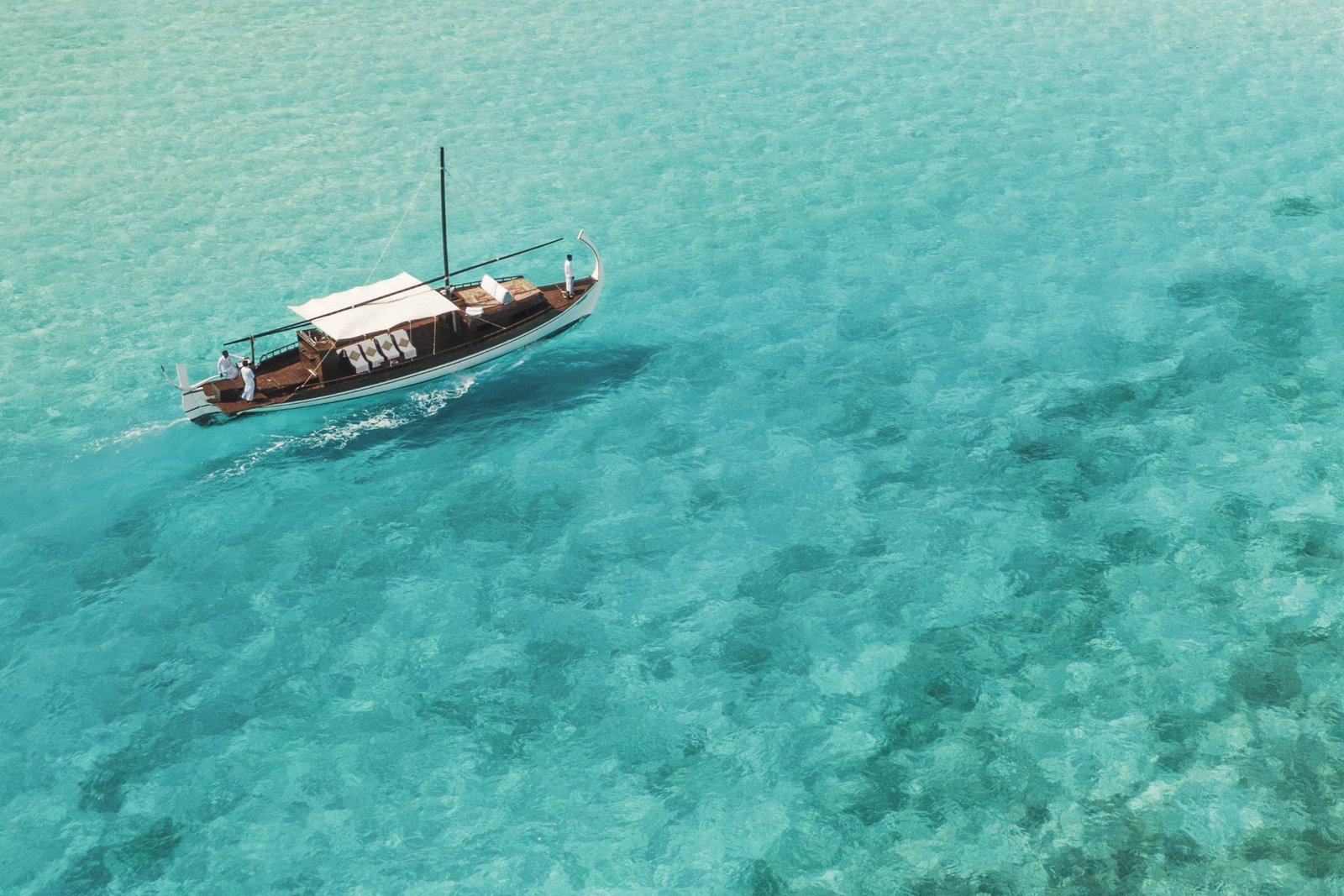 476436555_1014593974030796_7952696914218817215_n