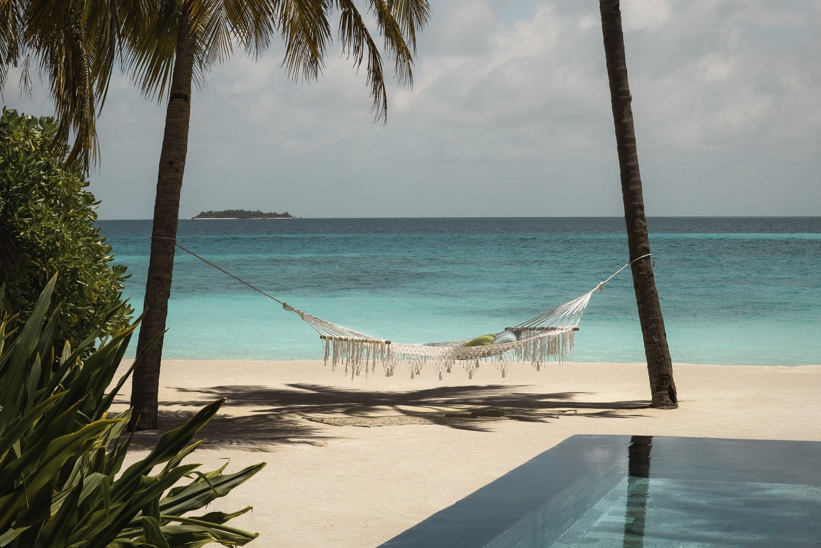 477233298_1019088573581336_8127747407875384134_n