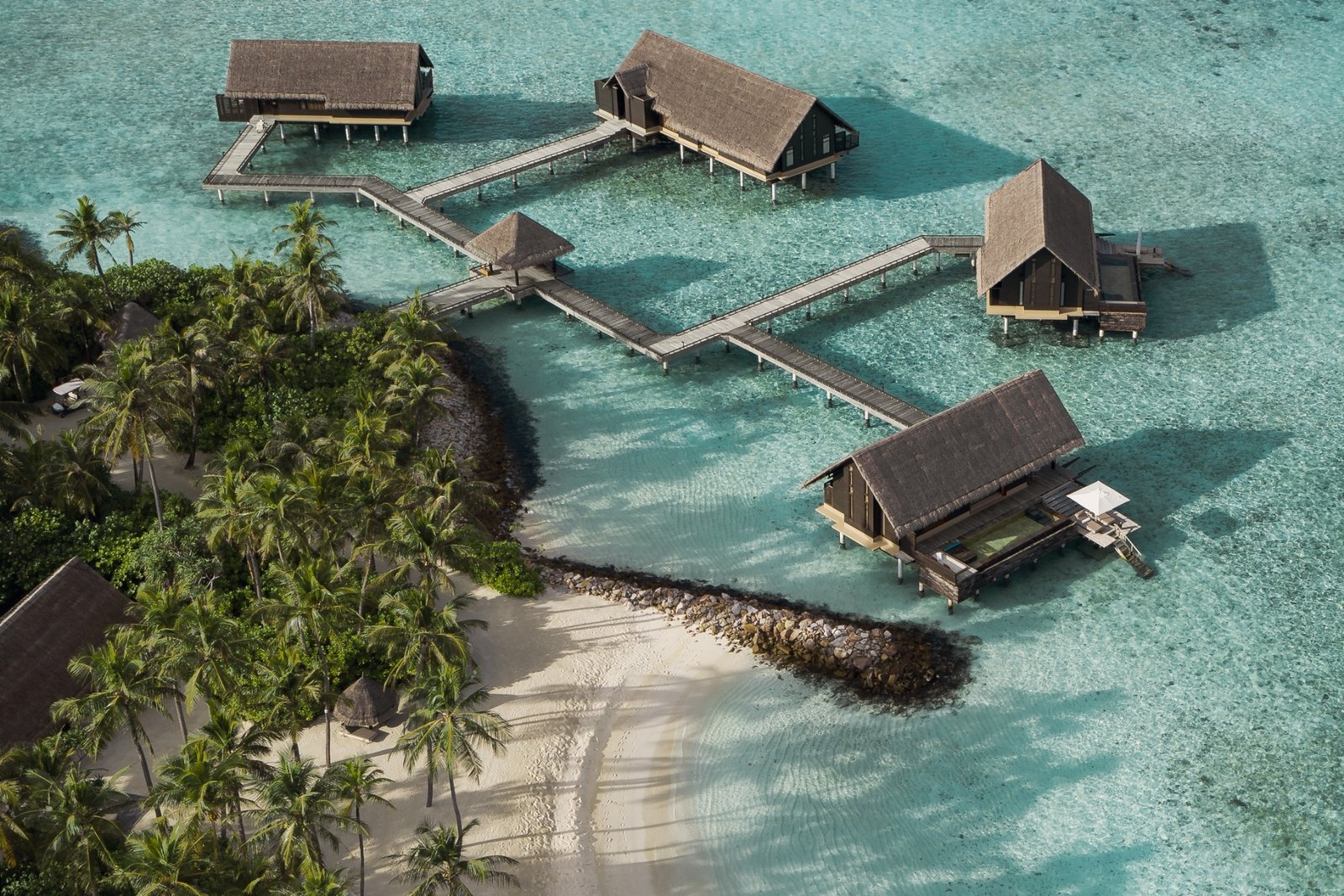 477442603_1019088863581307_7681104791389257723_n